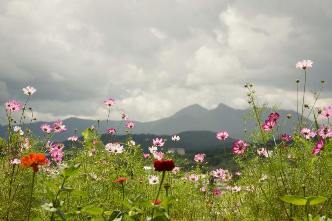 Thang Nam Ruc Ro - Dalat Homestay Dış mekan fotoğraf