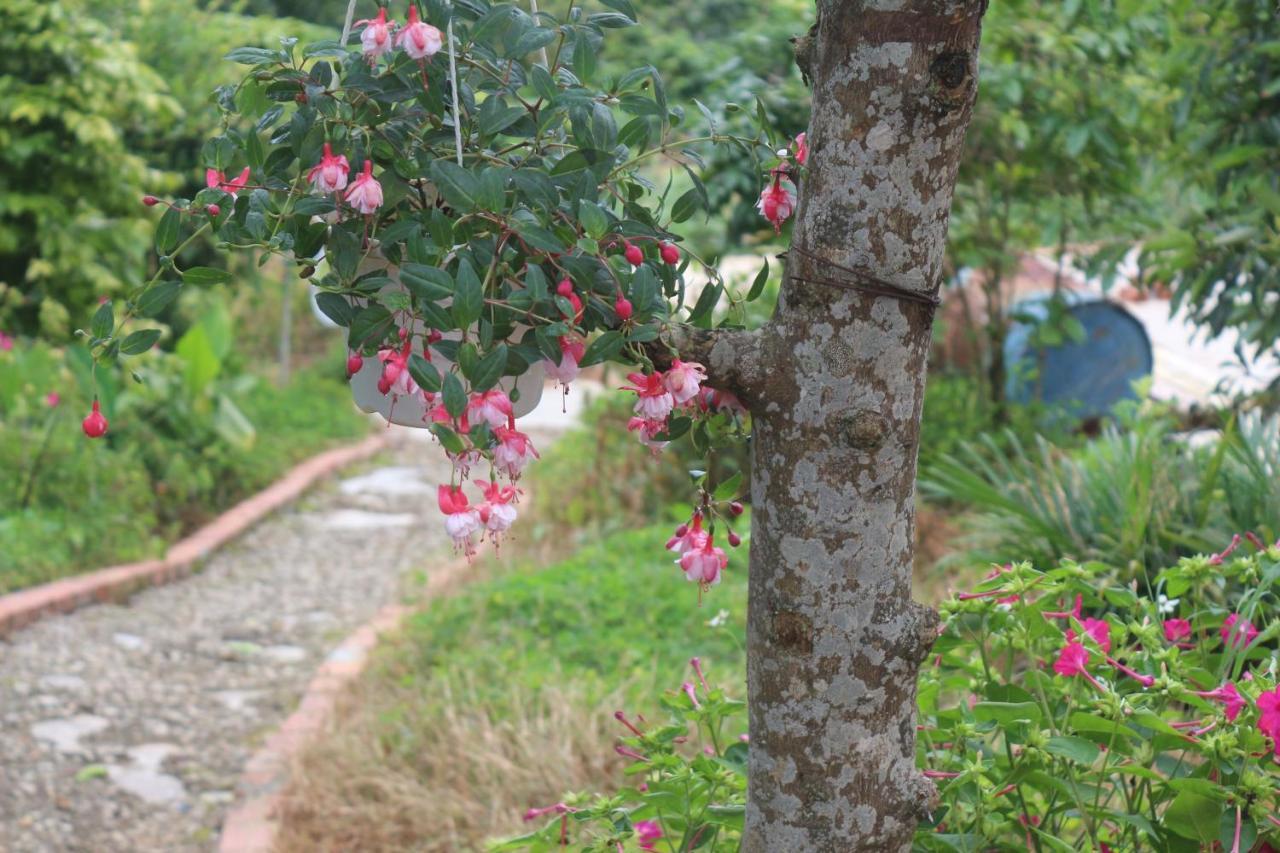 Thang Nam Ruc Ro - Dalat Homestay Dış mekan fotoğraf